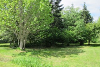 Picture of Point Roberts Parcel Number 405302-238225